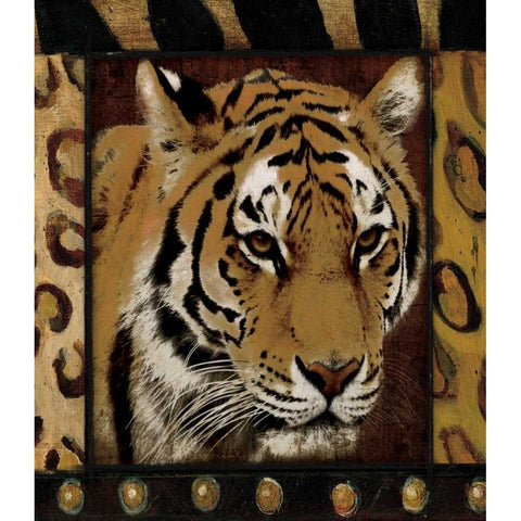 Tiger Bordered Black Modern Wood Framed Art Print with Double Matting by Grey, Jace