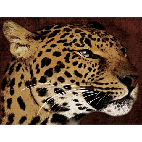 Leopard White Modern Wood Framed Art Print by Grey, Jace