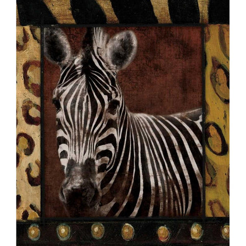 Zebra Dordered White Modern Wood Framed Art Print by Grey, Jace