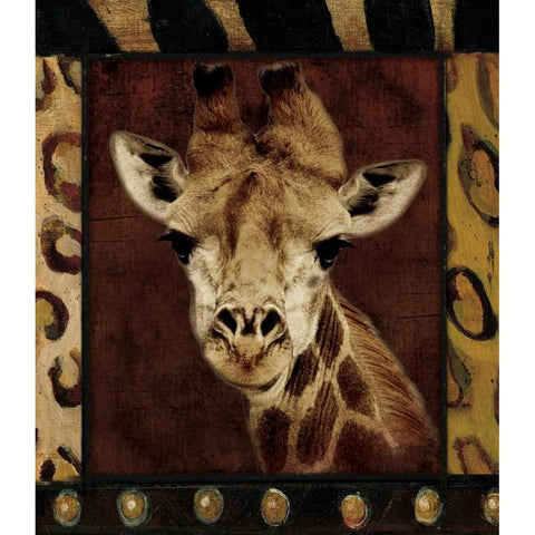 Giraffe Bordered Black Modern Wood Framed Art Print with Double Matting by Grey, Jace