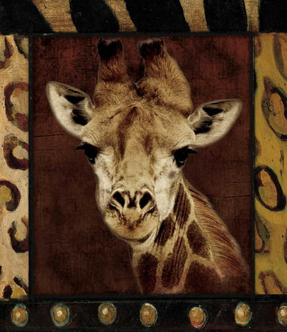 Giraffe Bordered White Modern Wood Framed Art Print with Double Matting by Grey, Jace