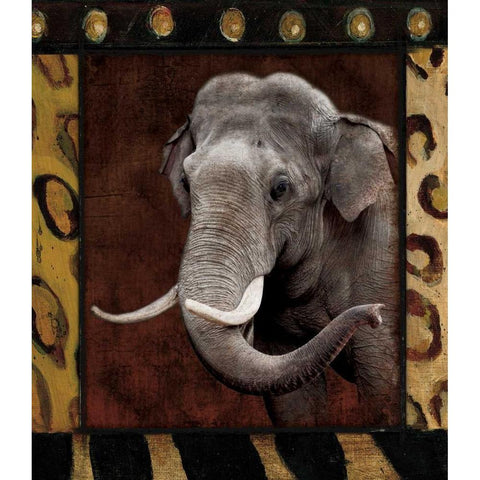 Elephant Bordered White Modern Wood Framed Art Print by Grey, Jace