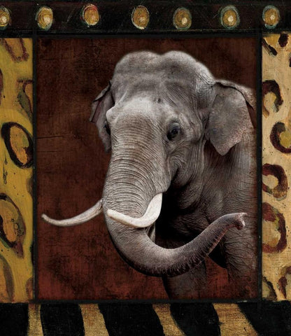 Elephant Bordered White Modern Wood Framed Art Print with Double Matting by Grey, Jace