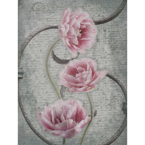 Floral Fence 2 Black Modern Wood Framed Art Print with Double Matting by Grey, Jace