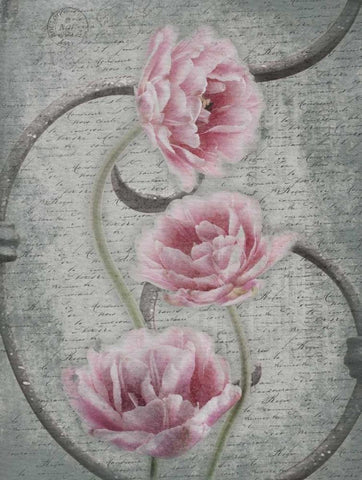 Floral Fence 2 White Modern Wood Framed Art Print with Double Matting by Grey, Jace