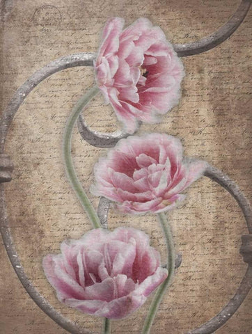 Floral Fence 3 White Modern Wood Framed Art Print with Double Matting by Grey, Jace