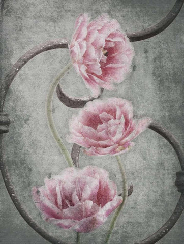 Floral Fence White Modern Wood Framed Art Print with Double Matting by Grey, Jace