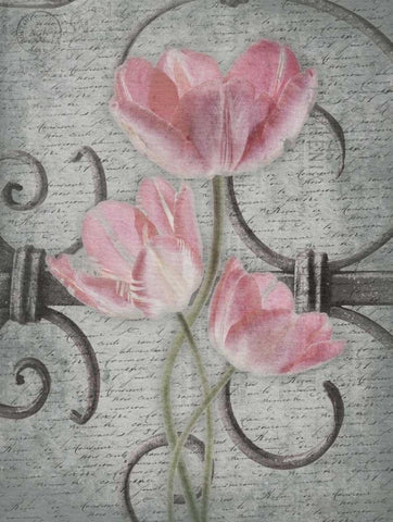 Floral Fence Mate 2 Black Ornate Wood Framed Art Print with Double Matting by Grey, Jace