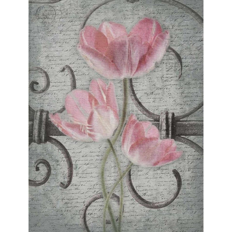 Floral Fence Mate 2 Gold Ornate Wood Framed Art Print with Double Matting by Grey, Jace