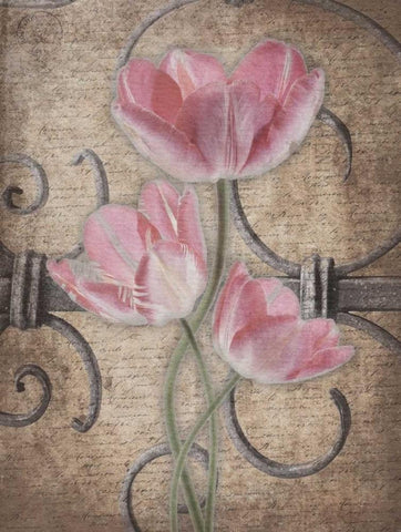 Floral Fence Mate 3 Black Ornate Wood Framed Art Print with Double Matting by Grey, Jace