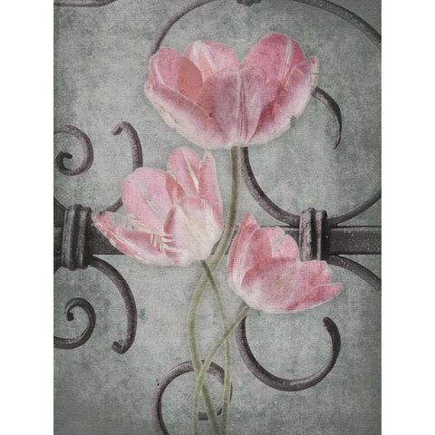 Floral Fence Mate White Modern Wood Framed Art Print by Grey, Jace