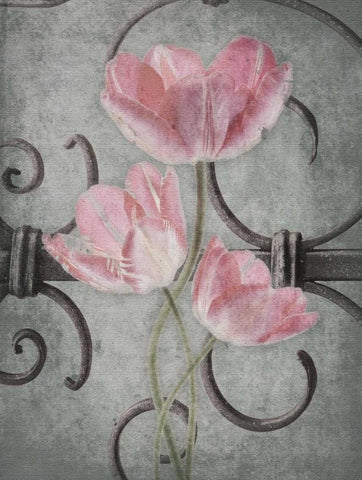 Floral Fence Mate Black Ornate Wood Framed Art Print with Double Matting by Grey, Jace