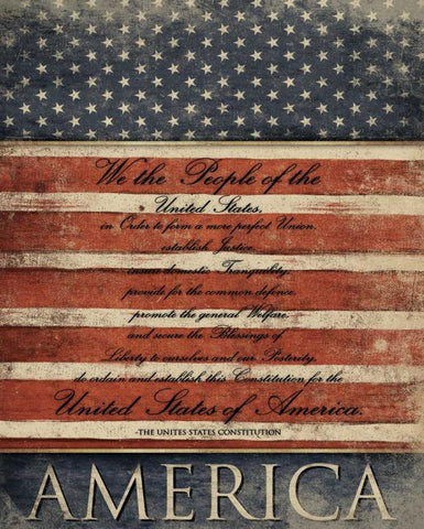 We The People White Modern Wood Framed Art Print with Double Matting by Grey, Jace