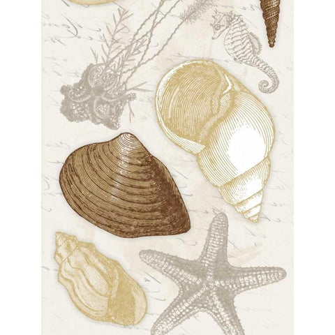 Shells Gold Ornate Wood Framed Art Print with Double Matting by Grey, Jace