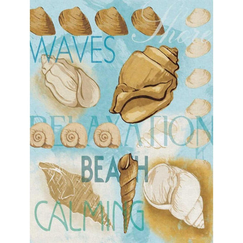 Shell Collage White Modern Wood Framed Art Print by Grey, Jace