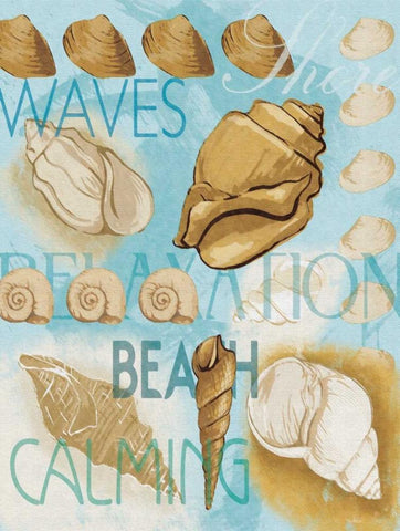 Shell Collage White Modern Wood Framed Art Print with Double Matting by Grey, Jace