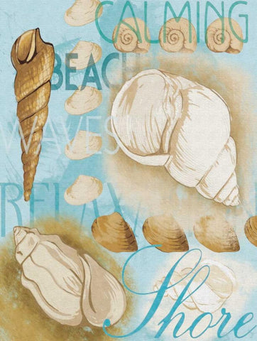 Shell Collage Mate Black Ornate Wood Framed Art Print with Double Matting by Grey, Jace