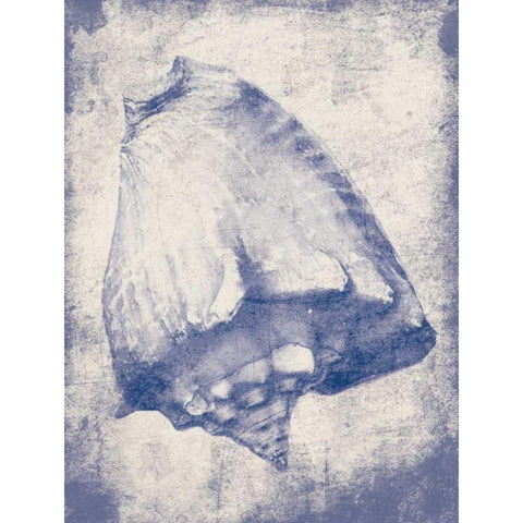 Shell Shade Black Modern Wood Framed Art Print with Double Matting by Grey, Jace