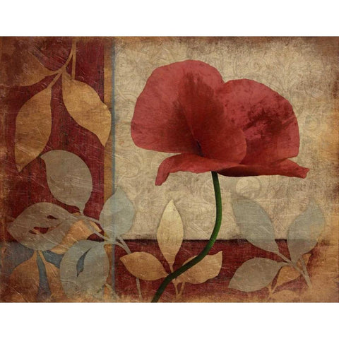 Poppies Mate Black Modern Wood Framed Art Print by Grey, Jace