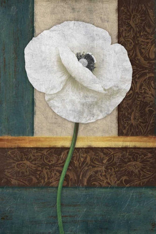 White Floral Black Ornate Wood Framed Art Print with Double Matting by Grey, Jace