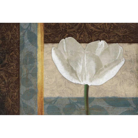 White Floral Mate Horizontal Black Modern Wood Framed Art Print with Double Matting by Grey, Jace