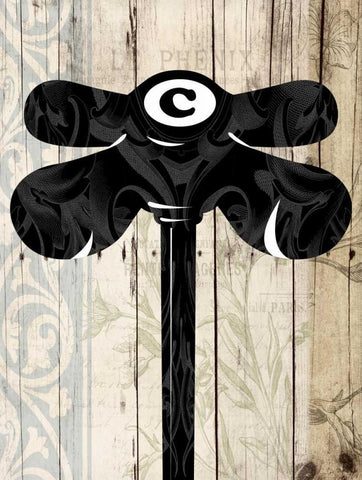 Cold Nob Black Ornate Wood Framed Art Print with Double Matting by Grey, Jace