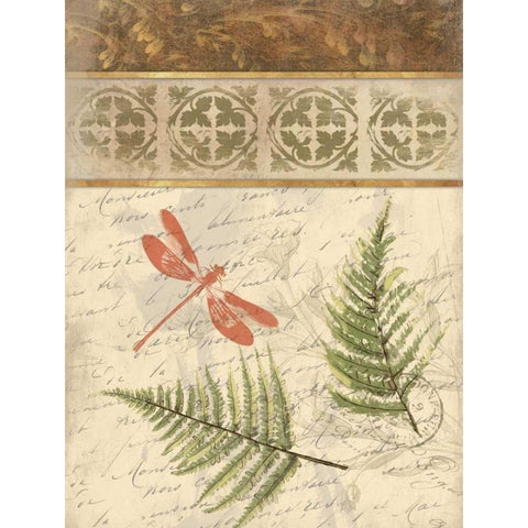 The Dragonfly Fern White Modern Wood Framed Art Print by Grey, Jace