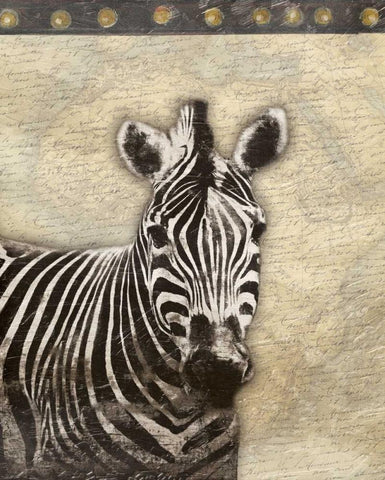 Zebra Africa 2 White Modern Wood Framed Art Print with Double Matting by Grey, Jace