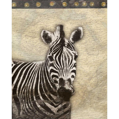 Zebra Africa 2 Black Modern Wood Framed Art Print with Double Matting by Grey, Jace