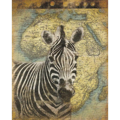 Zebra Africa Gold Ornate Wood Framed Art Print with Double Matting by Grey, Jace