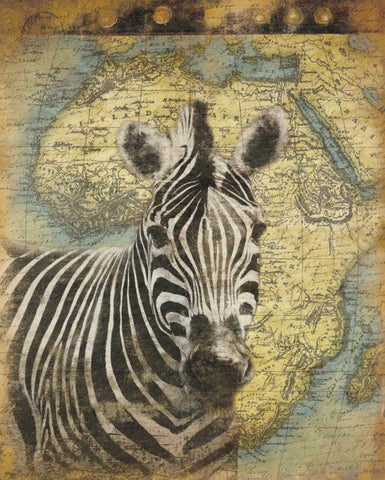 Zebra Africa Black Ornate Wood Framed Art Print with Double Matting by Grey, Jace