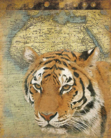 Tiger Africa Black Ornate Wood Framed Art Print with Double Matting by Grey, Jace