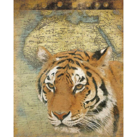 Tiger Africa Black Modern Wood Framed Art Print with Double Matting by Grey, Jace