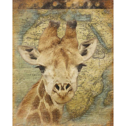 Giraffe 2 White Modern Wood Framed Art Print by Grey, Jace