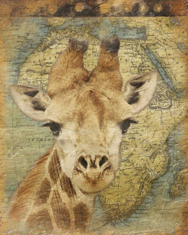 Giraffe 2 Black Ornate Wood Framed Art Print with Double Matting by Grey, Jace