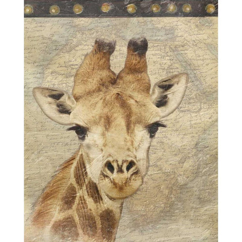 Giraffe Gold Ornate Wood Framed Art Print with Double Matting by Grey, Jace