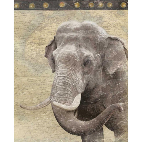 Elephant White Modern Wood Framed Art Print by Grey, Jace