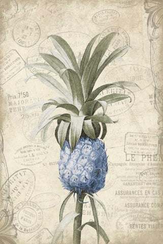 Blue Pineapple Black Ornate Wood Framed Art Print with Double Matting by Grey, Jace