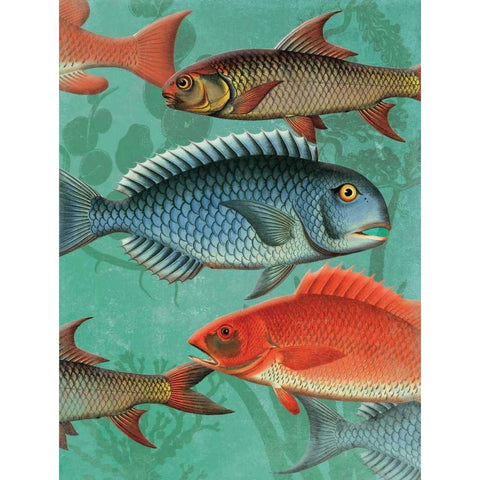 School OF Fish White Modern Wood Framed Art Print by Grey, Jace