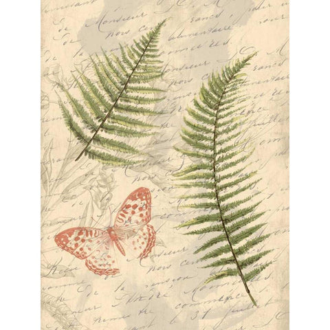 Ferns Mate White Modern Wood Framed Art Print by Grey, Jace