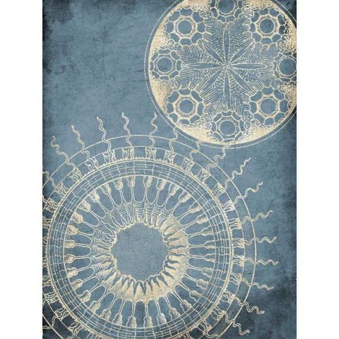 Coastal Patterns Cream Black Modern Wood Framed Art Print by Grey, Jace