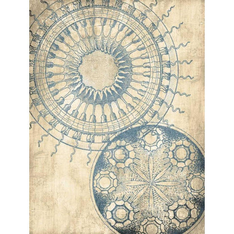 Coastal Patterns Cream Mate White Modern Wood Framed Art Print by Grey, Jace