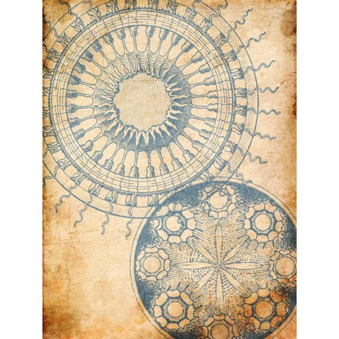 Coastal Patterns Mate White Modern Wood Framed Art Print by Grey, Jace
