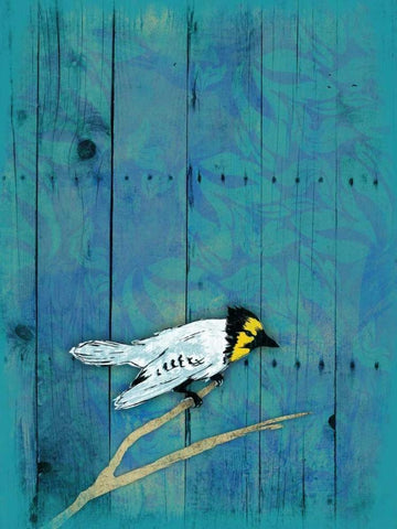 Blue Hue Bird White Modern Wood Framed Art Print with Double Matting by Grey, Jace