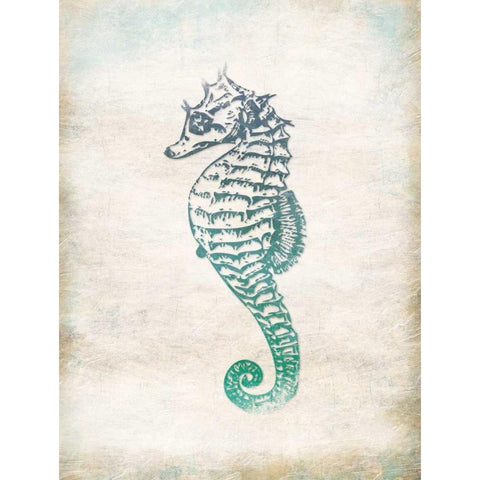 Seahorse Black Modern Wood Framed Art Print with Double Matting by Grey, Jace