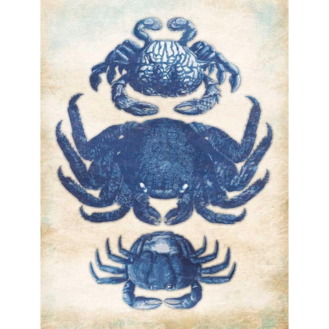 3 Crabs Black Modern Wood Framed Art Print with Double Matting by Grey, Jace