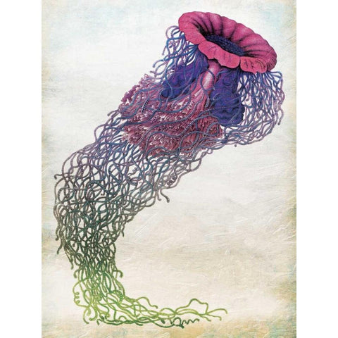 Jellyfish Gold Ornate Wood Framed Art Print with Double Matting by Grey, Jace
