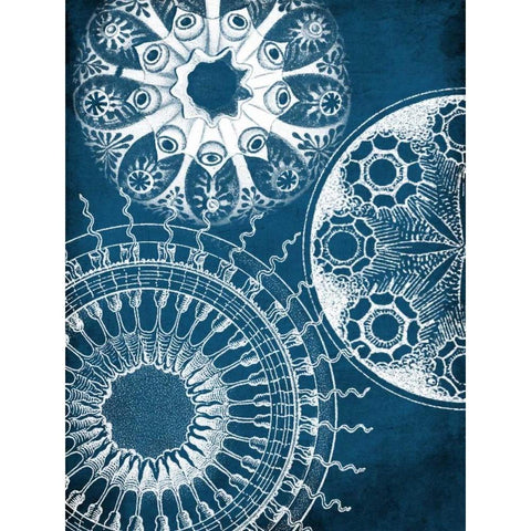 Blue patterns White Modern Wood Framed Art Print by Grey, Jace