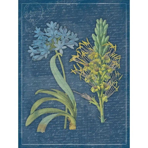 Blue print floral Black Modern Wood Framed Art Print with Double Matting by Grey, Jace