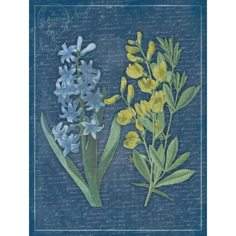 Blue Print Floral Mate Gold Ornate Wood Framed Art Print with Double Matting by Grey, Jace